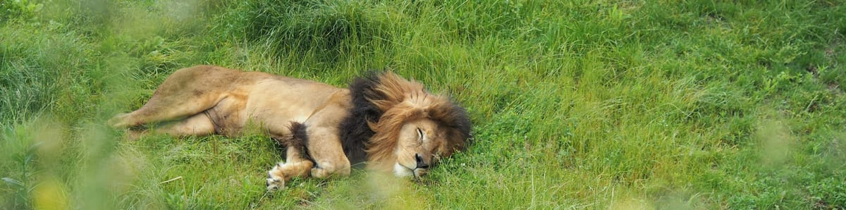 The Powerful become Humble