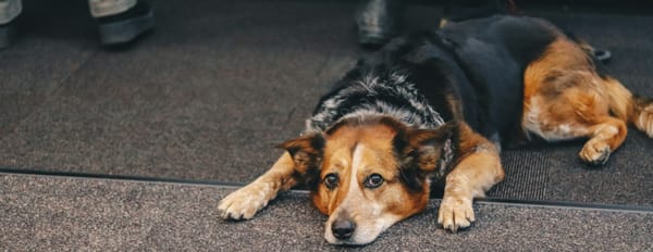 Waiting for the Kingdom Come